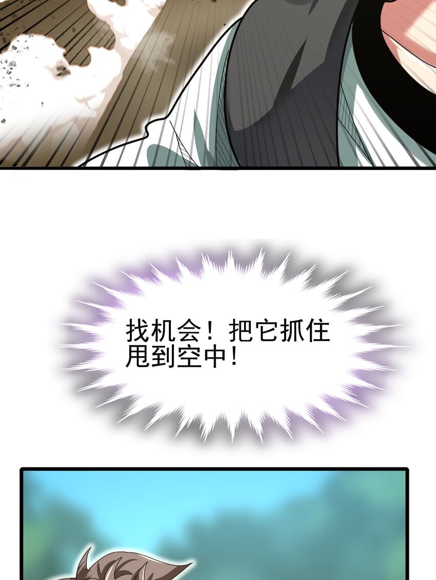 045 鬼面狼蛛13