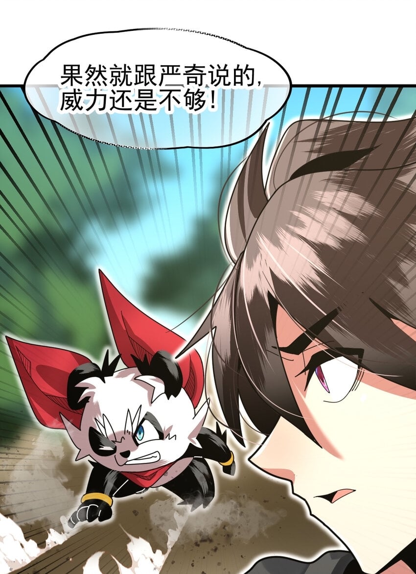 045 鬼面狼蛛12