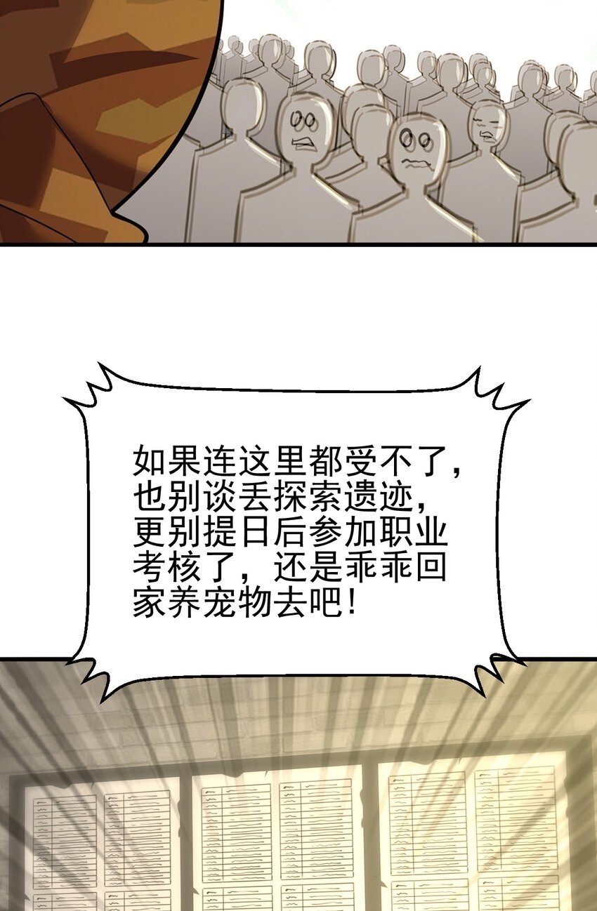 045 鬼面狼蛛57
