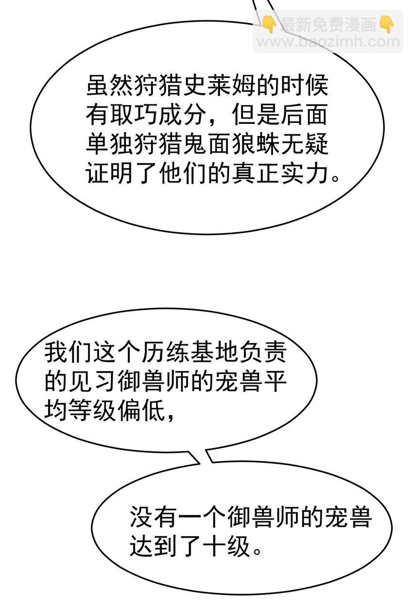 045 鬼面狼蛛42