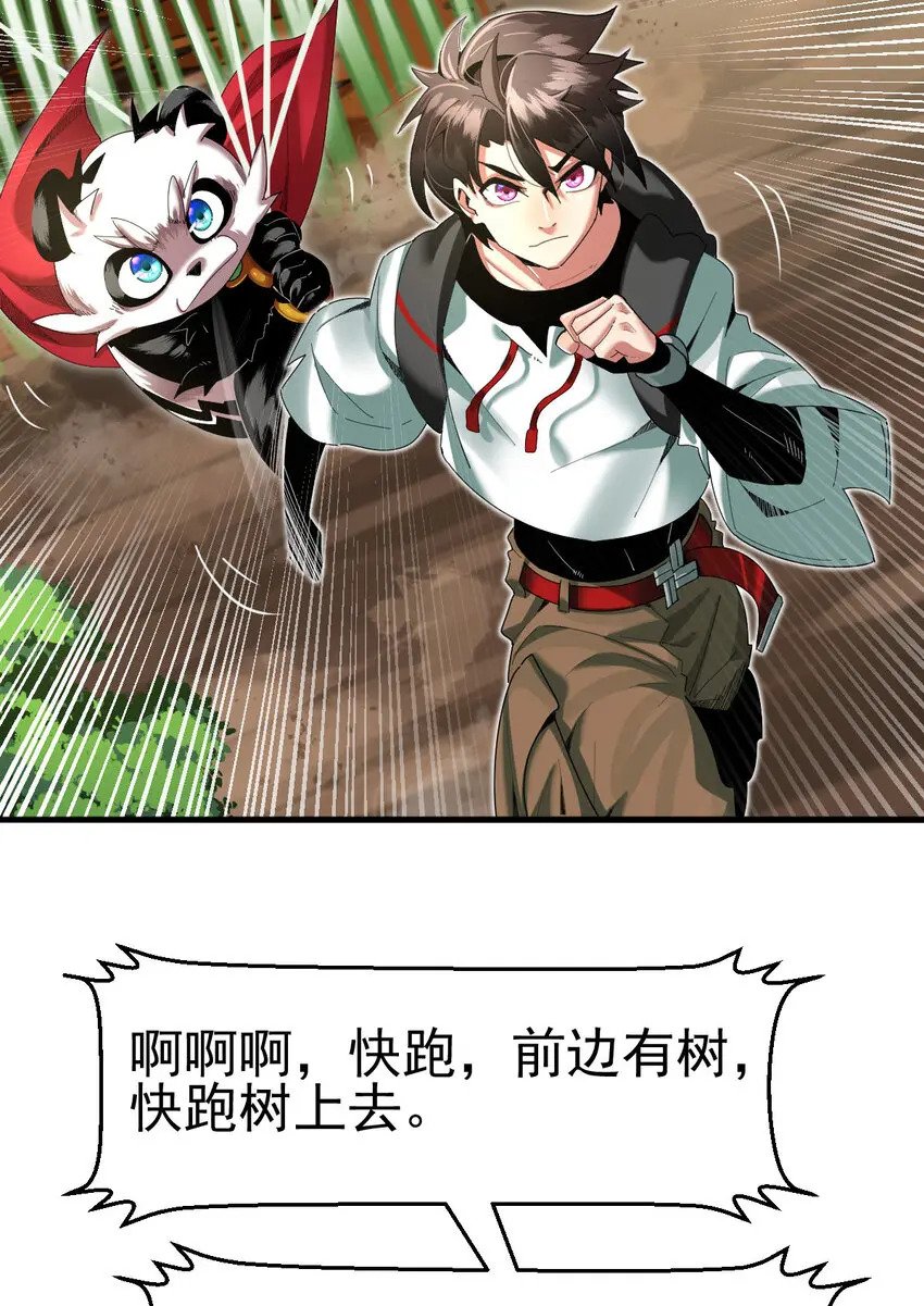 038 大收获40