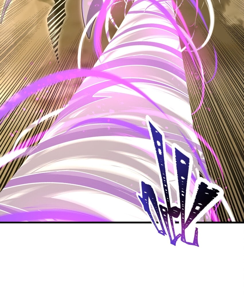 045 鬼面狼蛛19