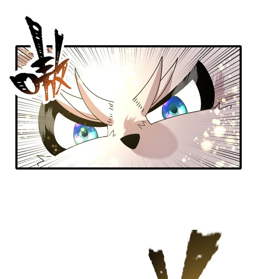 045 鬼面狼蛛5