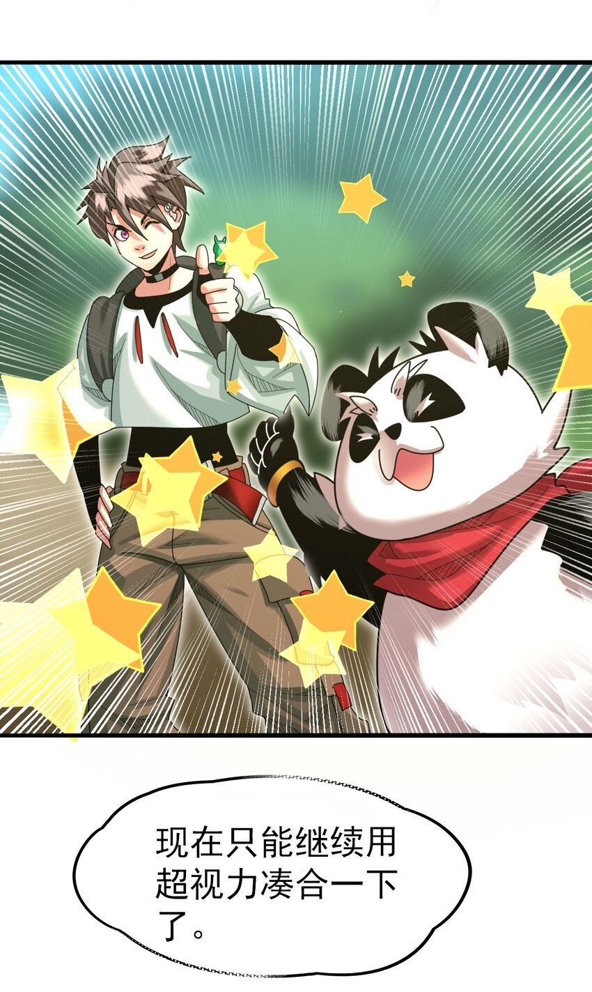 045 鬼面狼蛛38
