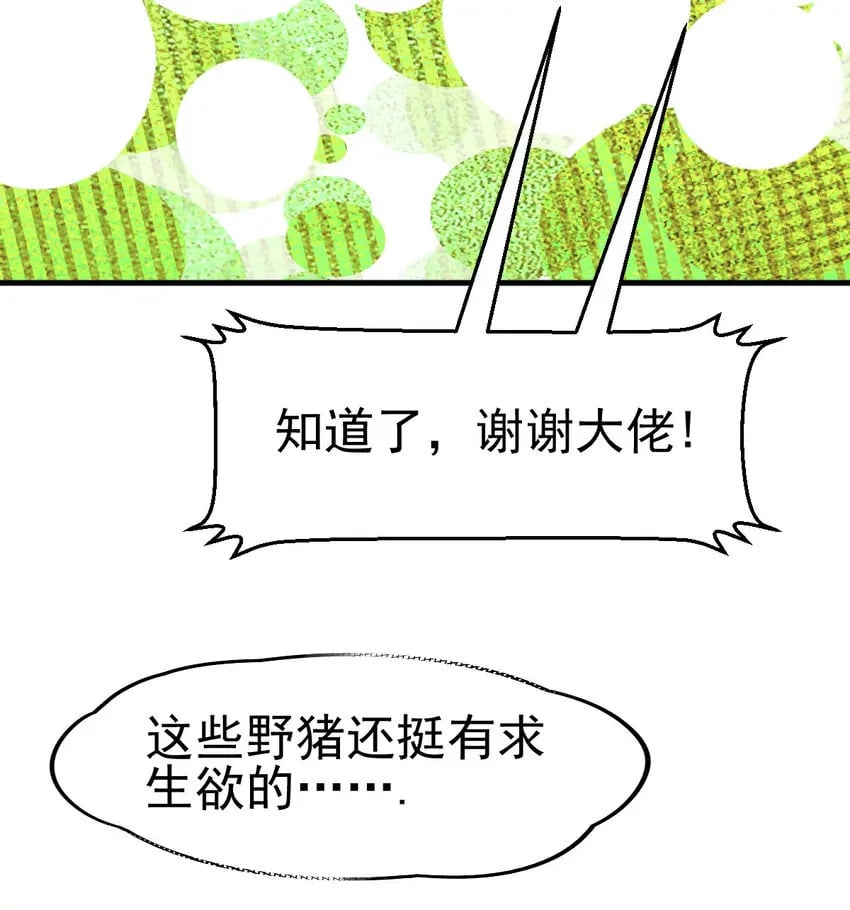 038 大收获52