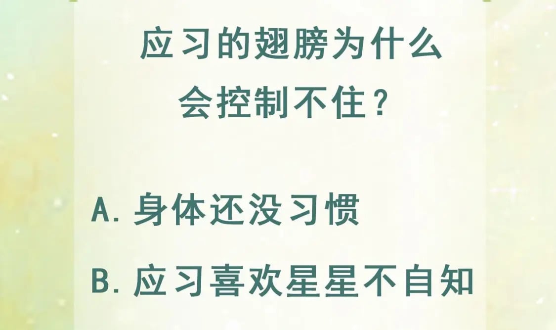 第39话 被耍了？88