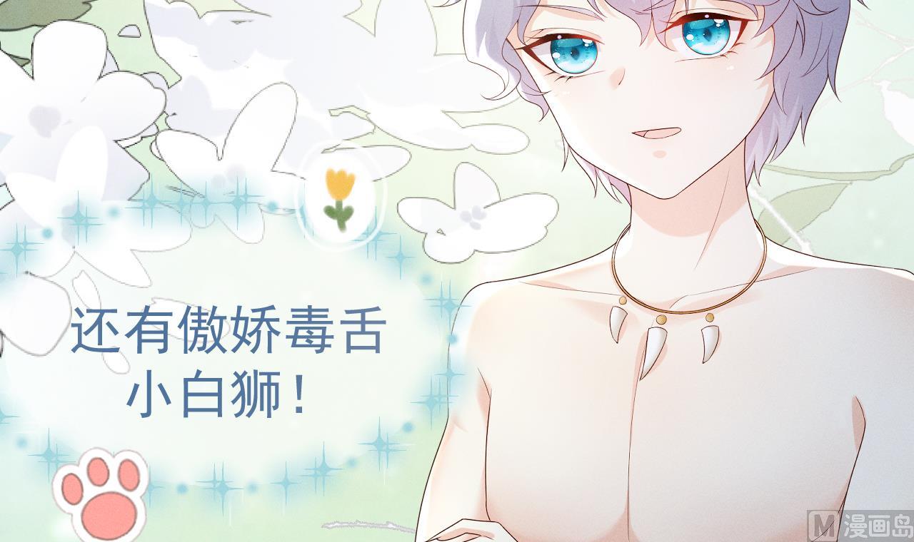 正式预告11