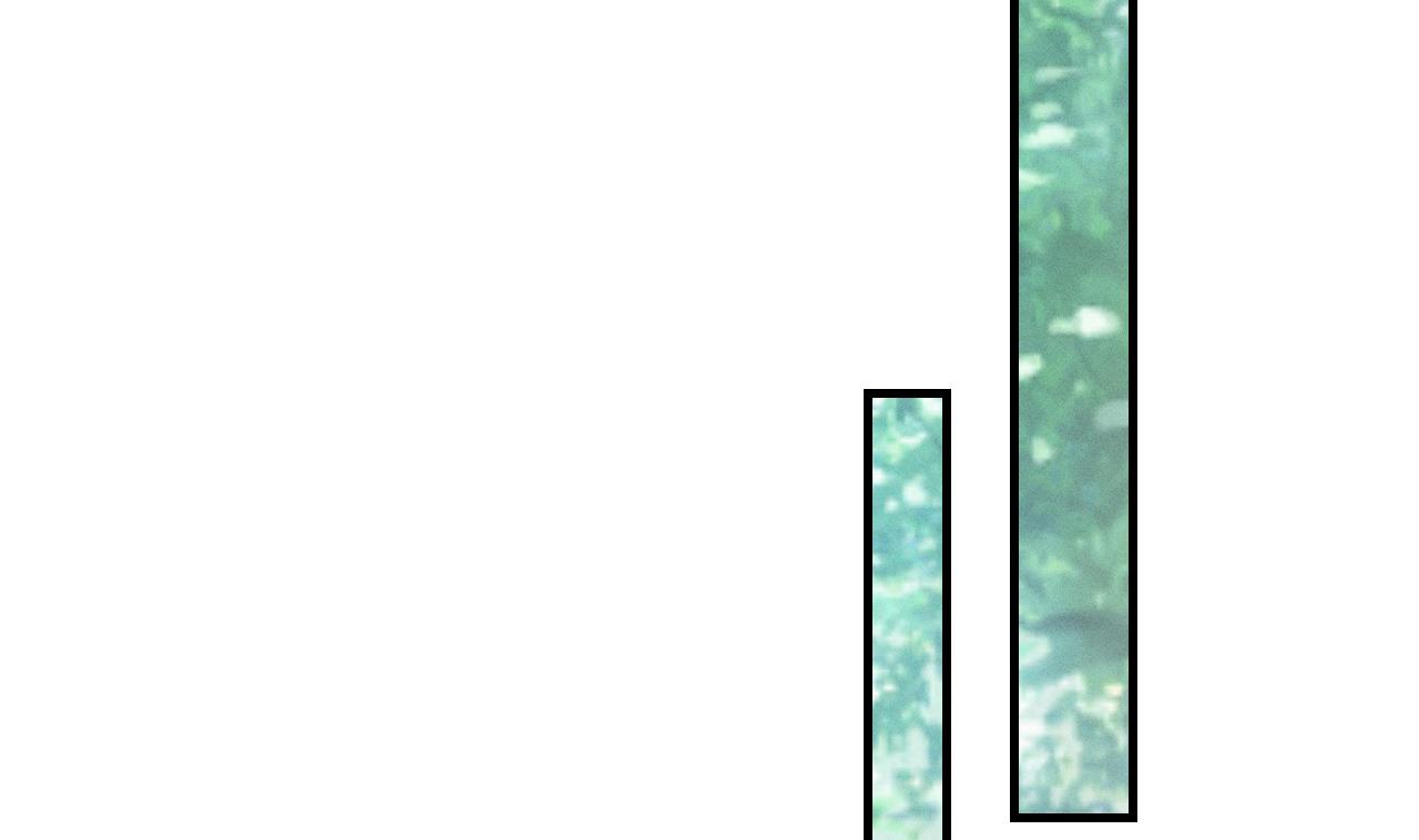 第3话 白狮不祥？40