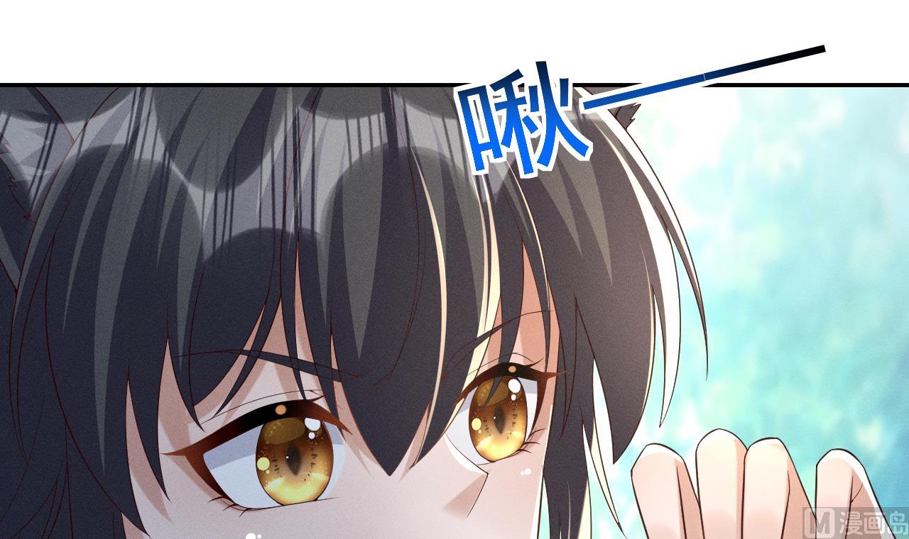 第1话 抱晕小狼崽？！65