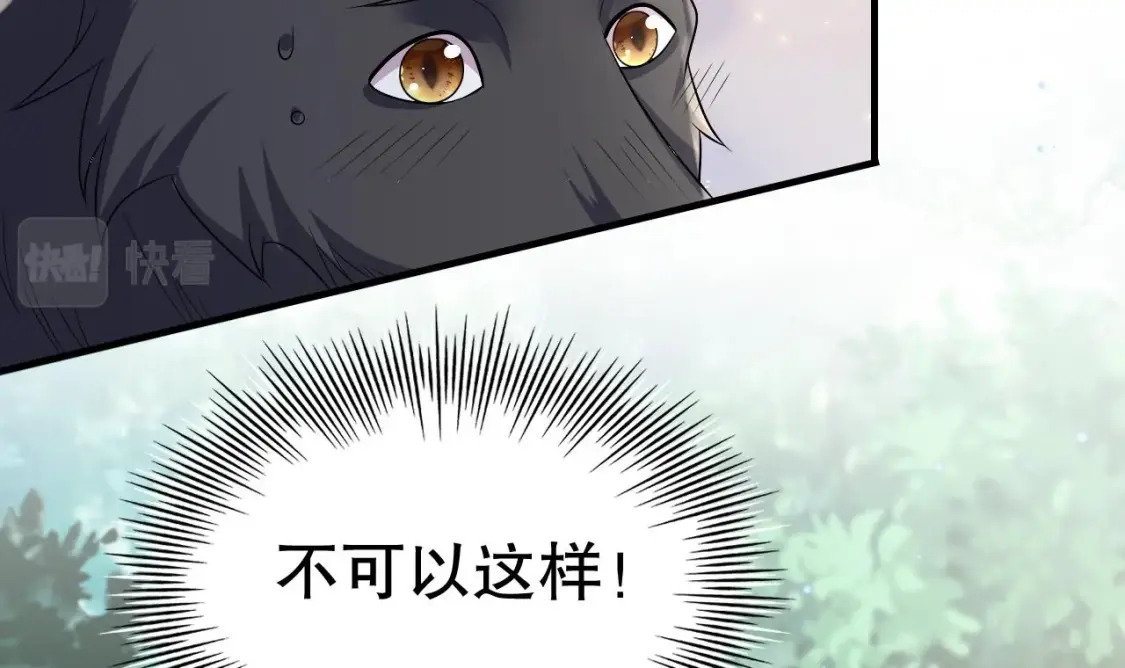 第20话 矢凌被偷家？17
