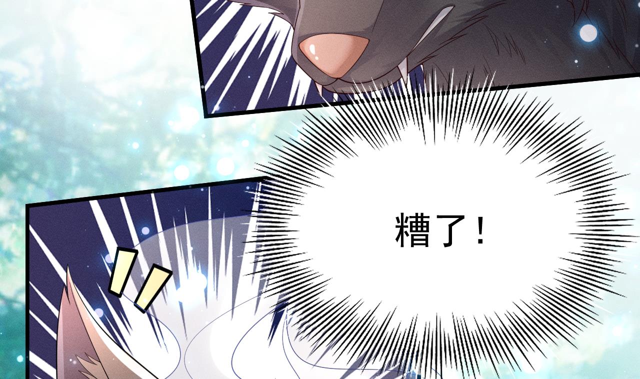第1话 抱晕小狼崽？！37