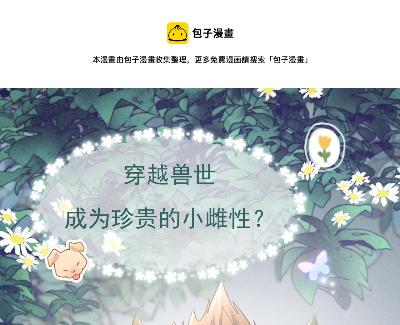 正式预告0