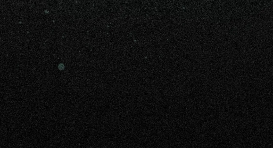第13话 美女你谁？115