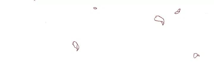 第55话 早早的名字188