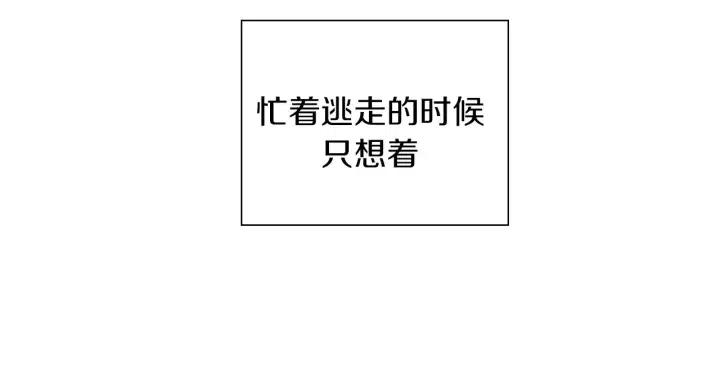 第29话 露藻123