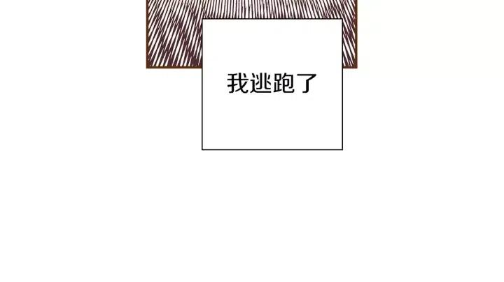第23话 防护盾12