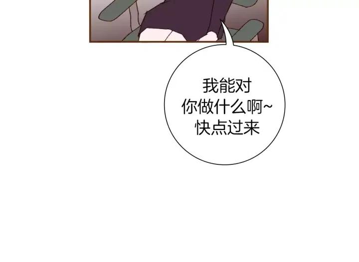 第65话 把手机拿开7