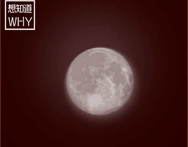 第163话 列表里的女人14