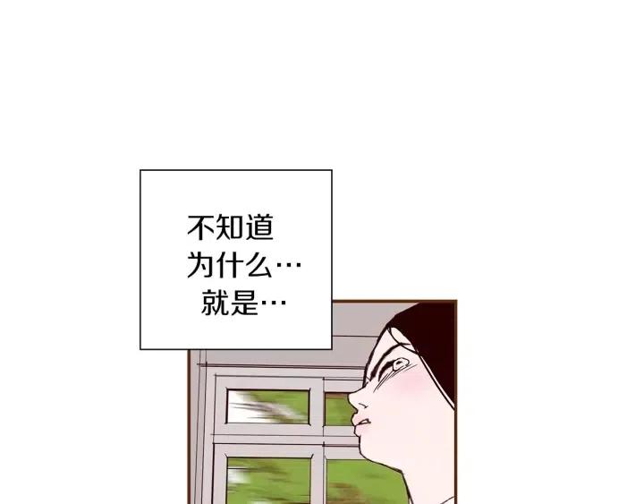 第23话 防护盾17