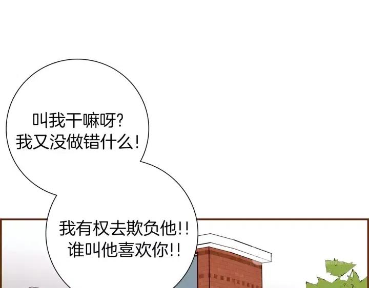 第23话 防护盾217