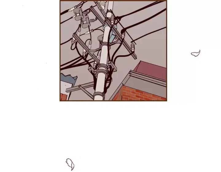 第46话 1的大小47