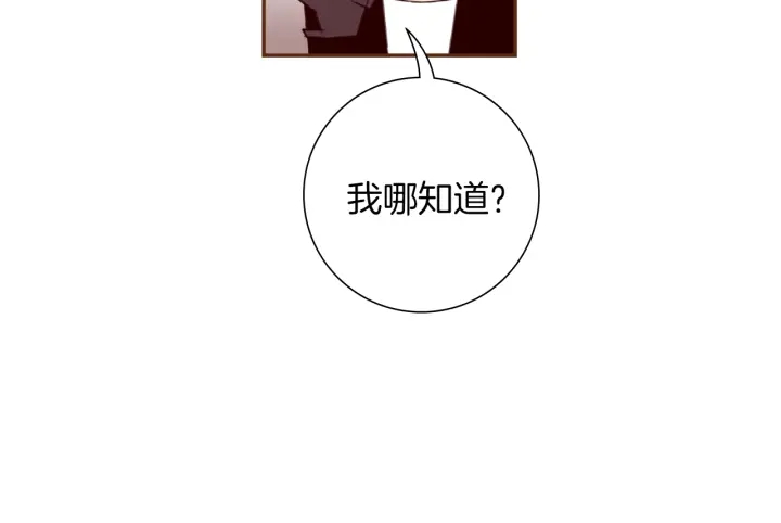 第166话 市场31