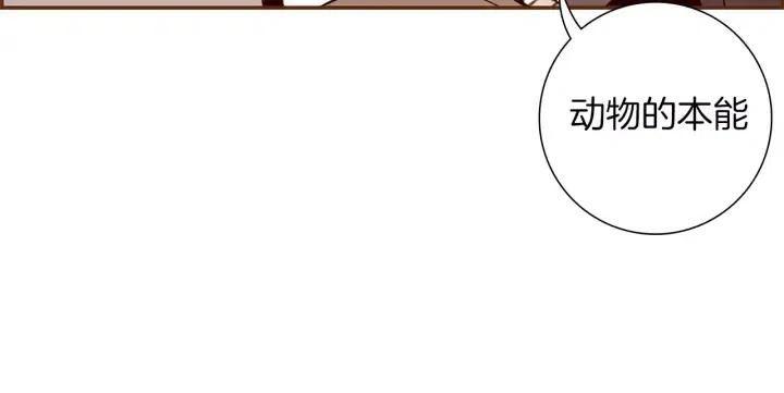 第14话 动物的本能37