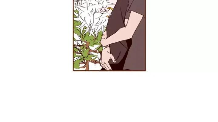 第29话 露藻97