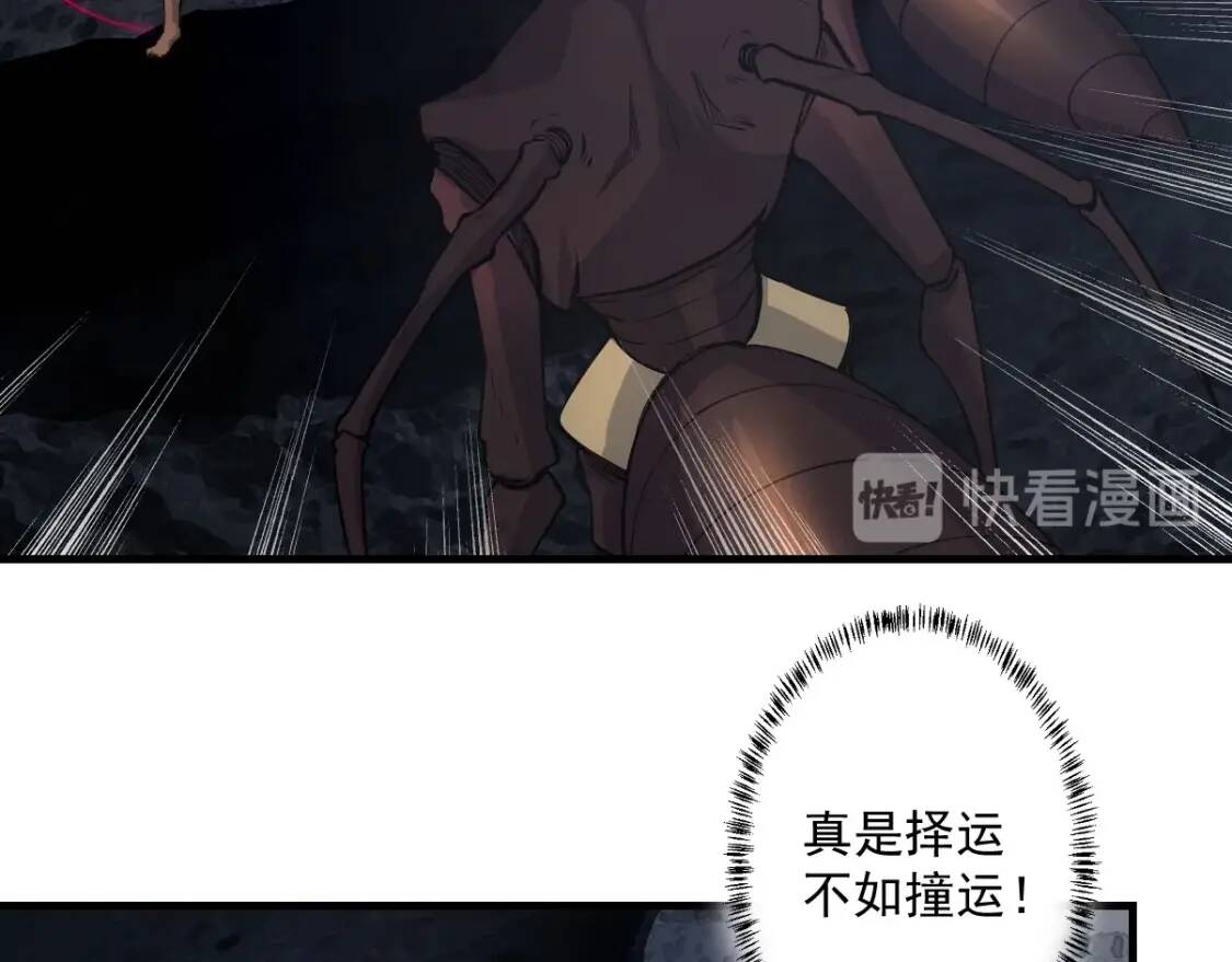第15话 黑甲蚁穴67