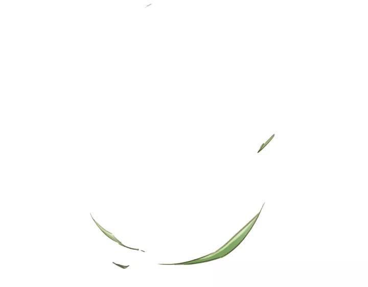 第一话 下山历练49