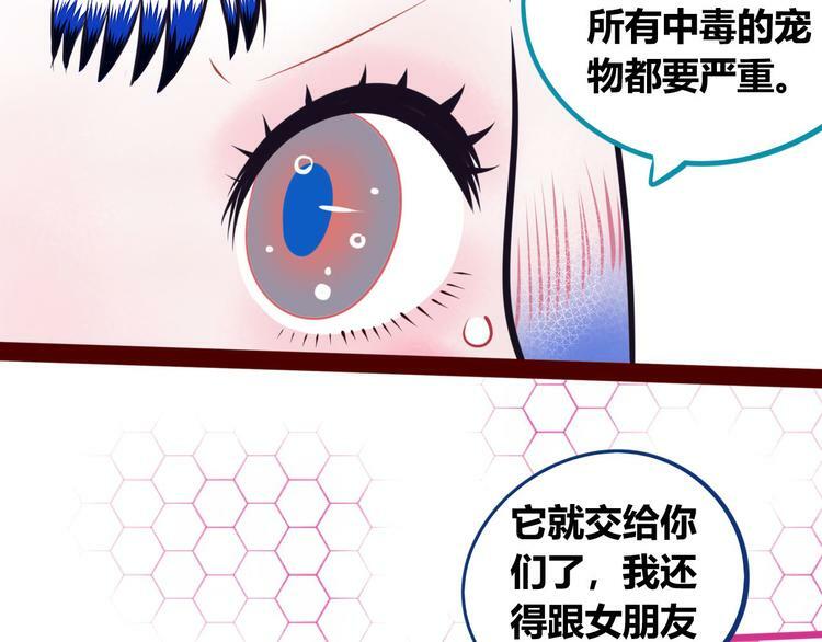 第6话  宠物病毒扩散！41
