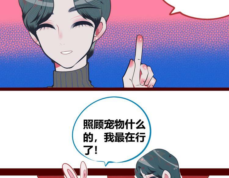 第5话 宠物病毒入侵！80