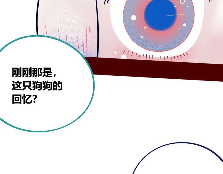 第6话  宠物病毒扩散！70