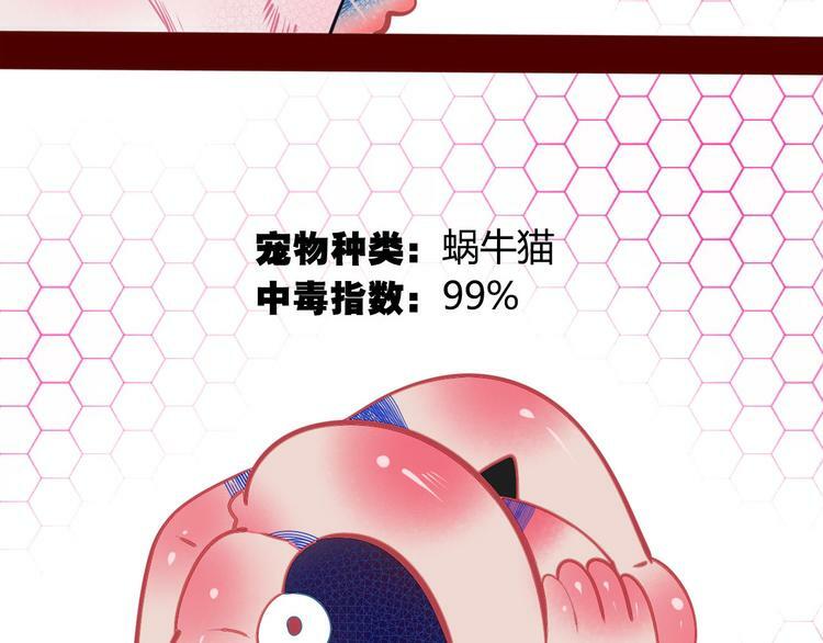 第6话  宠物病毒扩散！39
