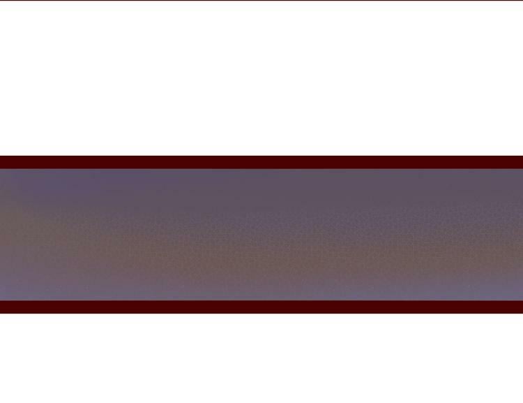 第6话  宠物病毒扩散！67