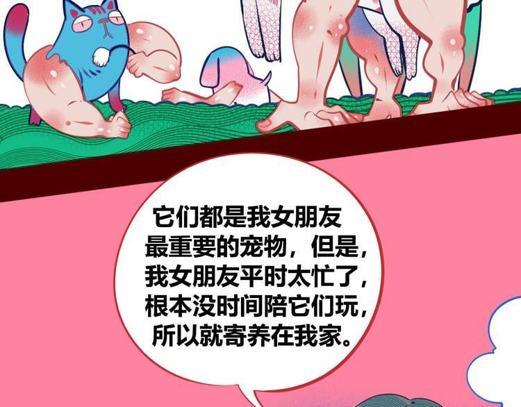 第5话 宠物病毒入侵！92