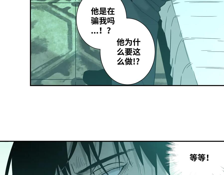 第42话 小马的秘密！42