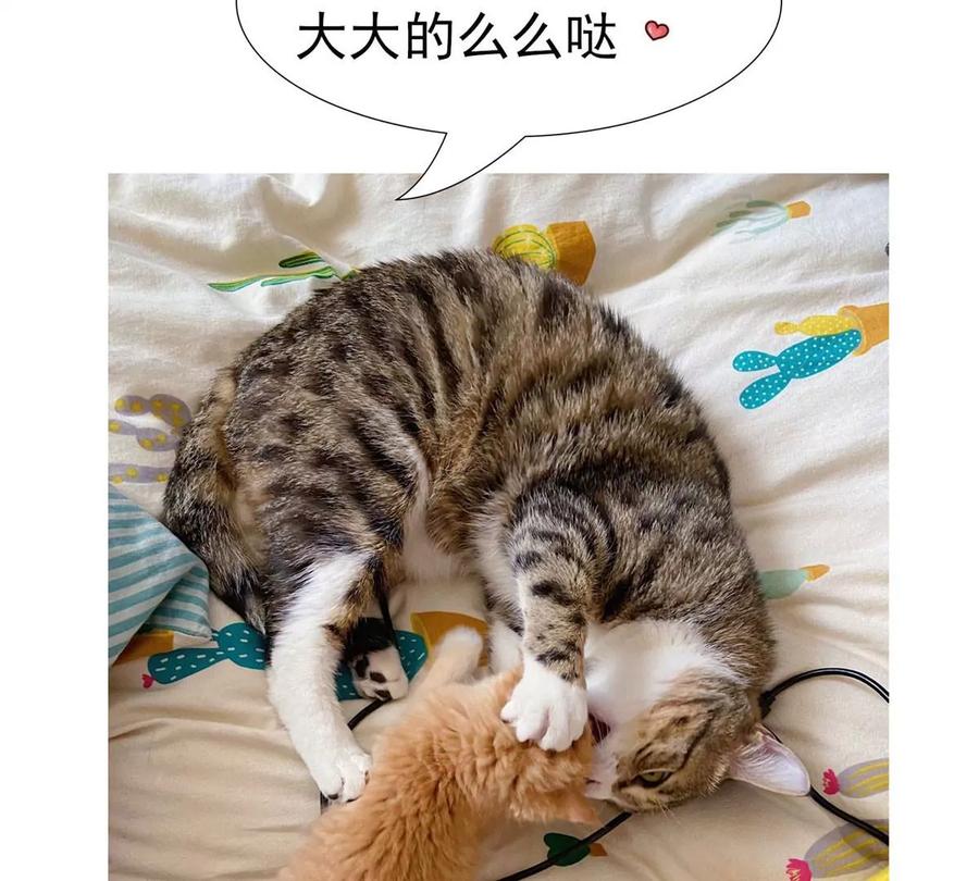16 最后的礼物105
