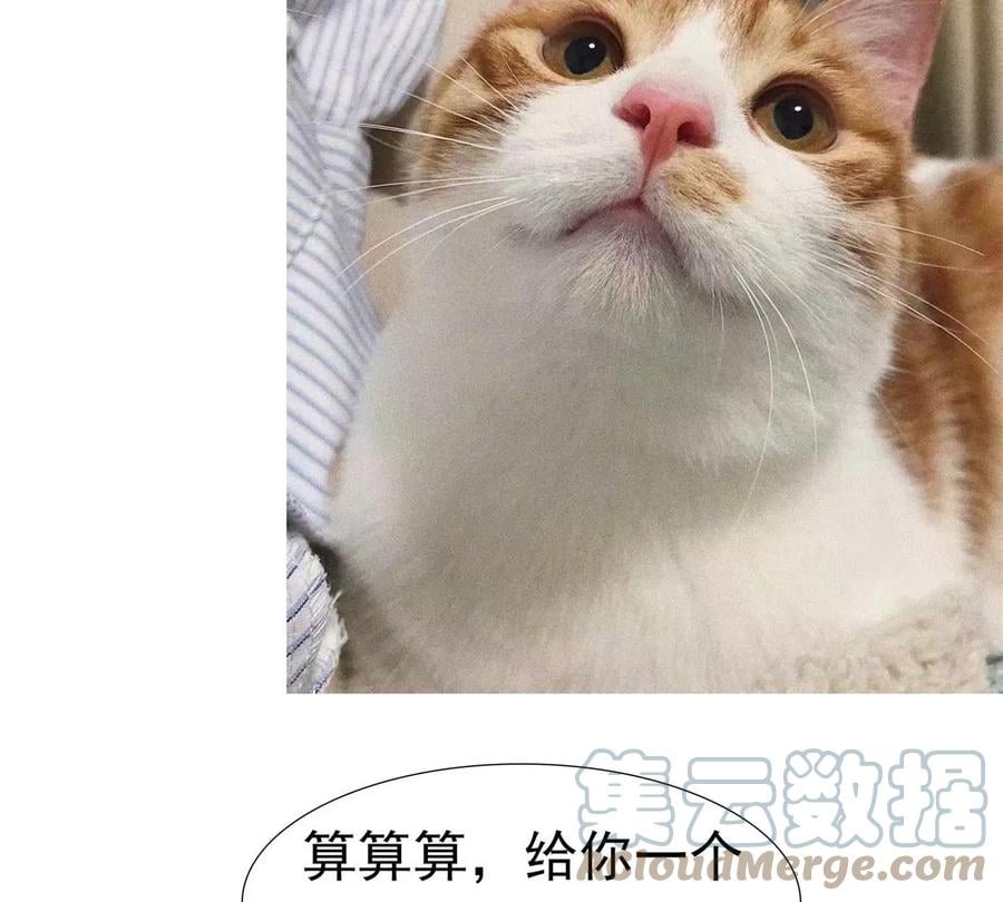 16 最后的礼物104