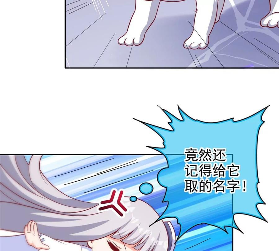 15 妖精逼婚啦!67