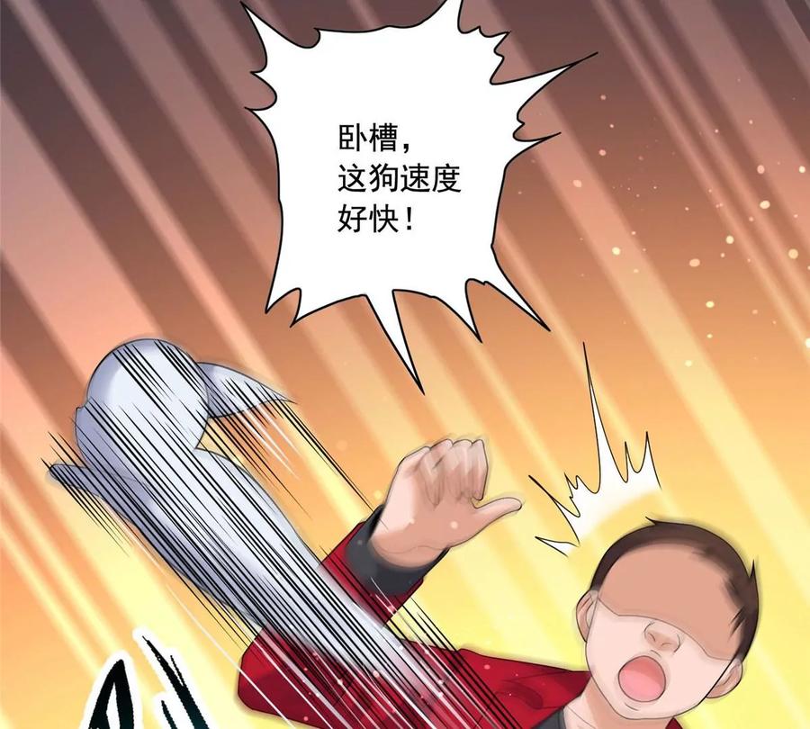 23 总有苍蝇在身边飞70