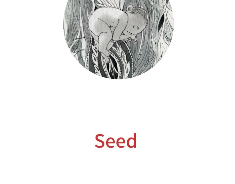 第4话 seed1