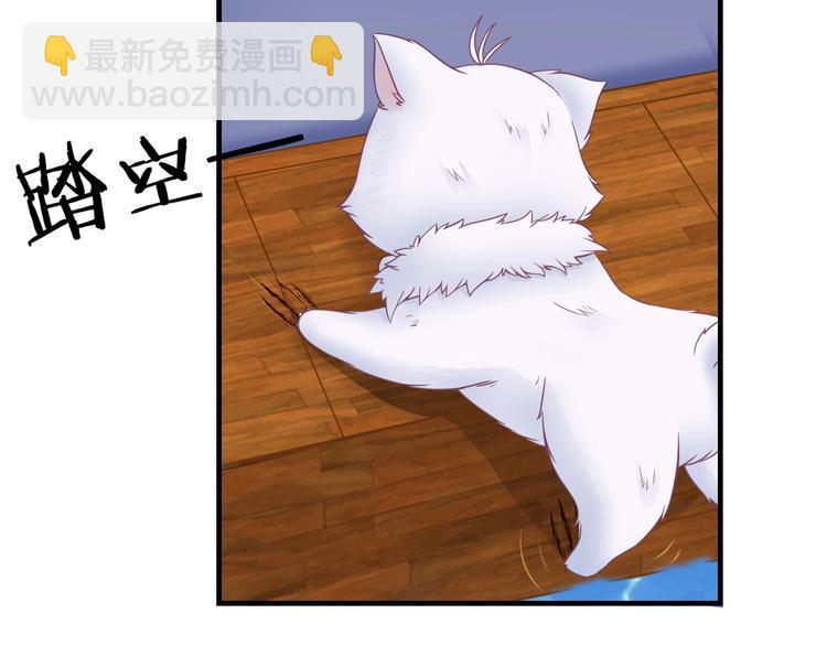 第0+1话 从天而降的喵？47