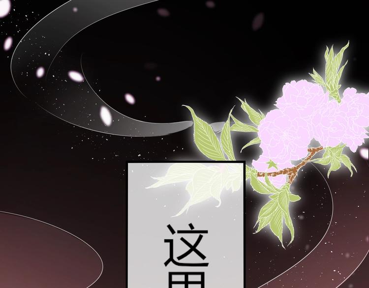第0+1话 从天而降的喵？29