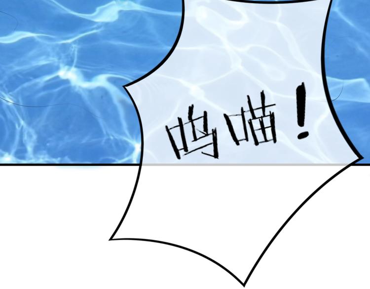 第0+1话 从天而降的喵？50