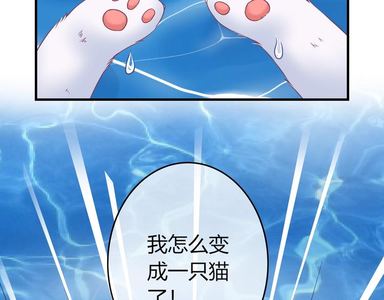 第0+1话 从天而降的喵？53