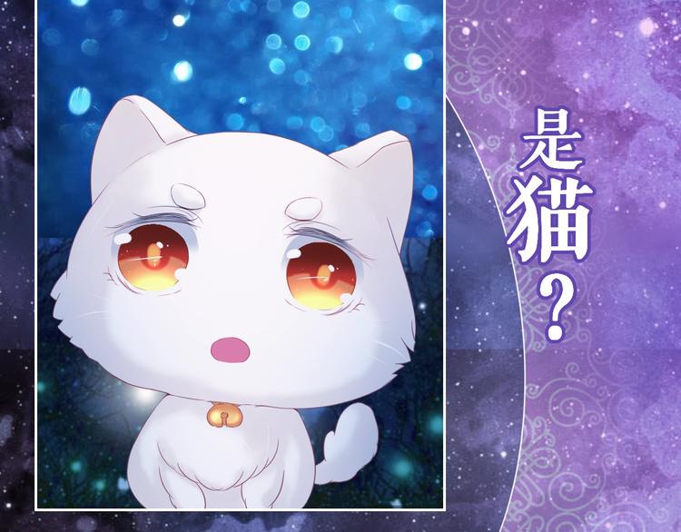 第0+1话 从天而降的喵？3