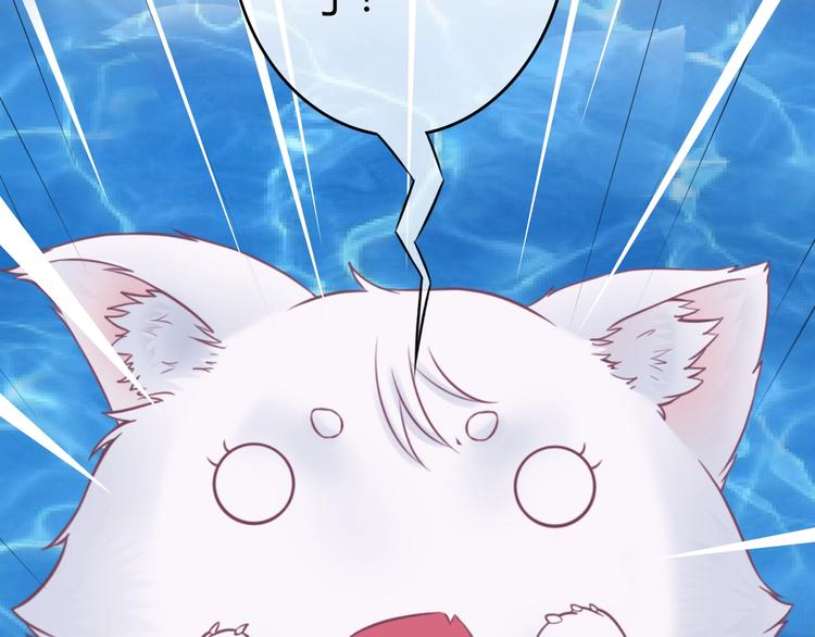 第0+1话 从天而降的喵？54