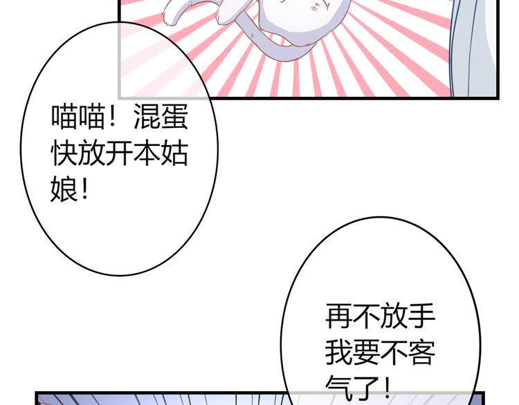 第0+1话 从天而降的喵？64
