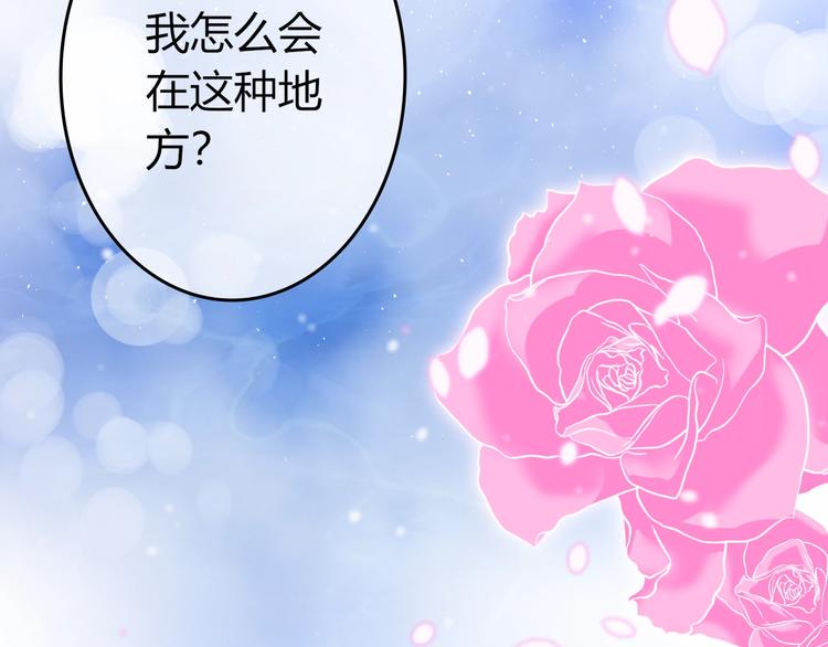 第0+1话 从天而降的喵？35